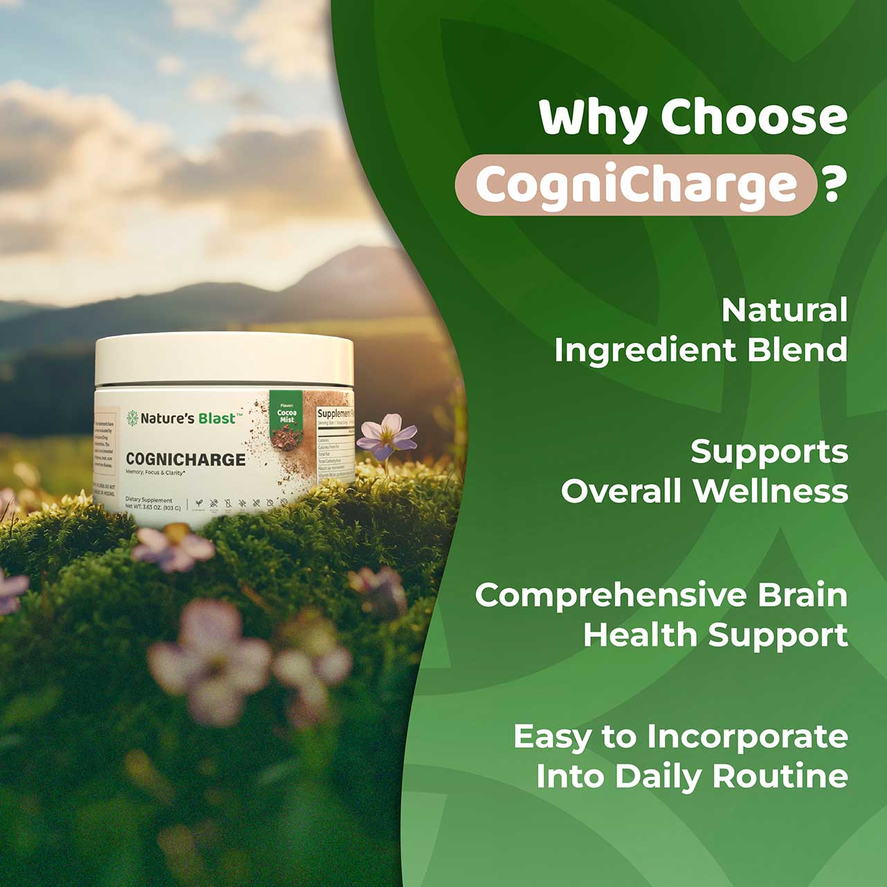 CogniCharge