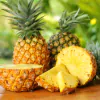 ingredient icon