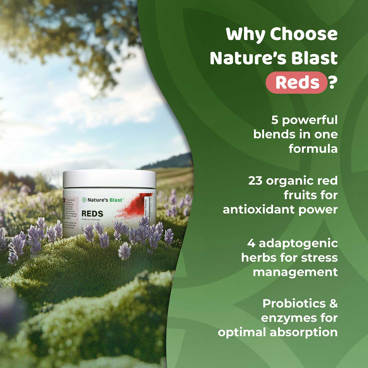 Metabolic Reds