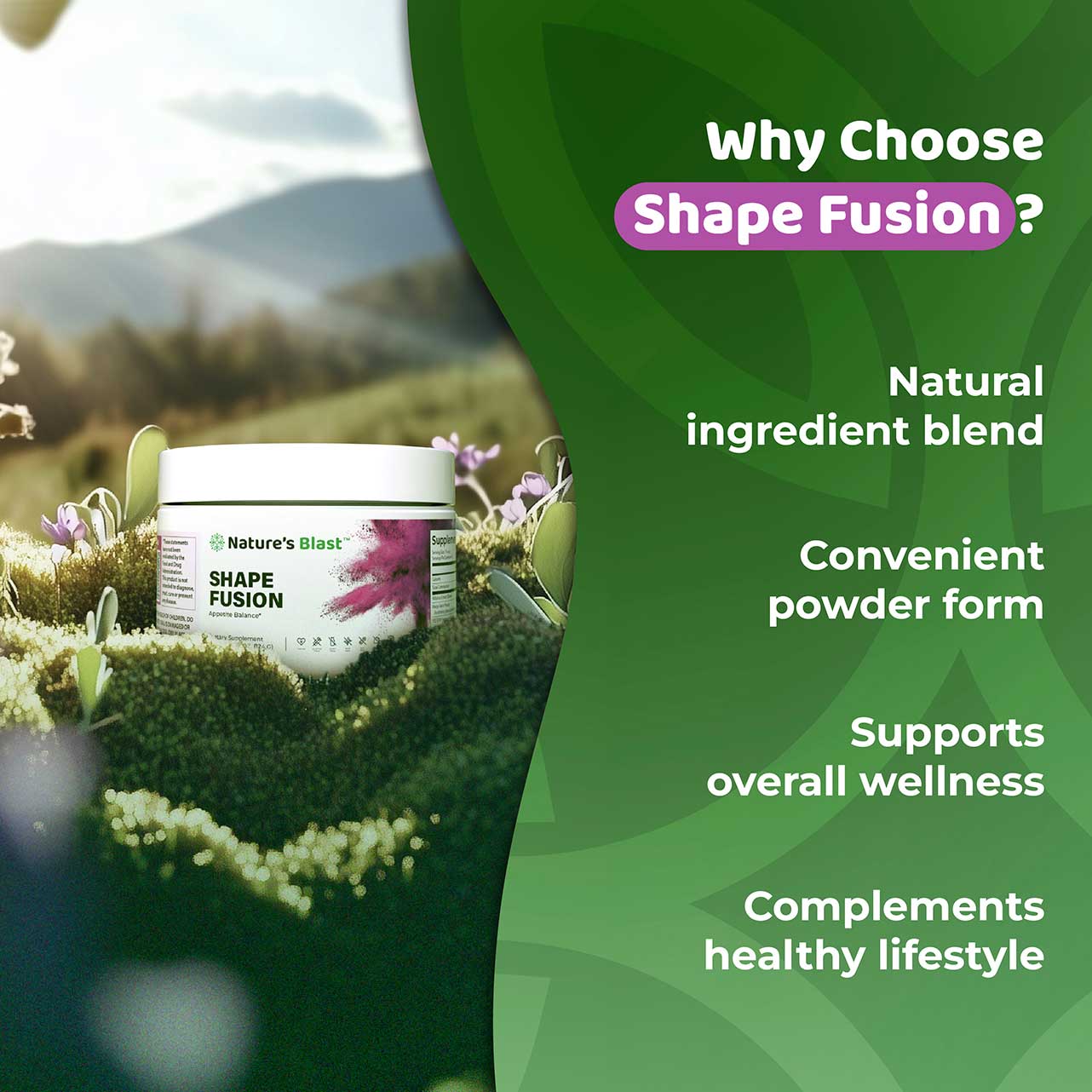 Shape Fusion